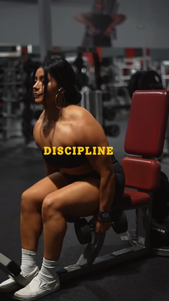 disiplin