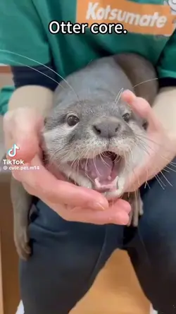otter core