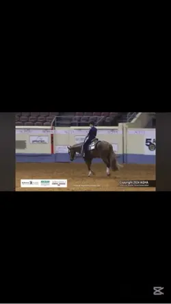 Western raws 