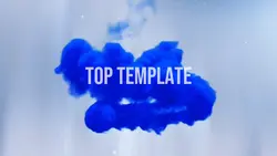 Ink Intro Top