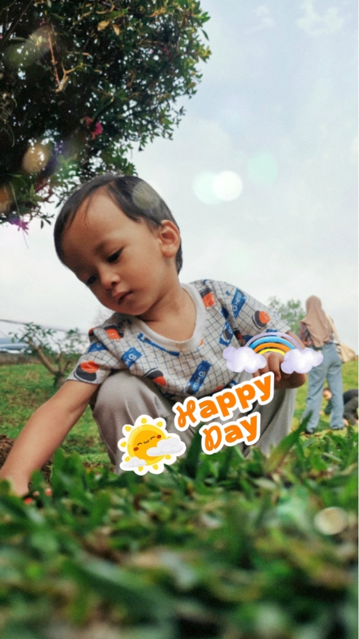 Cover Picture