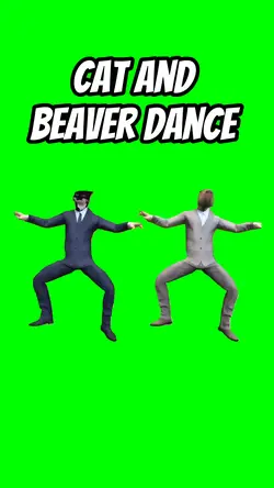 Cat and beaver dance