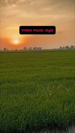 Video music style