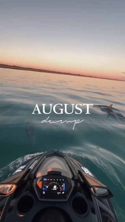 Volcado de agosto