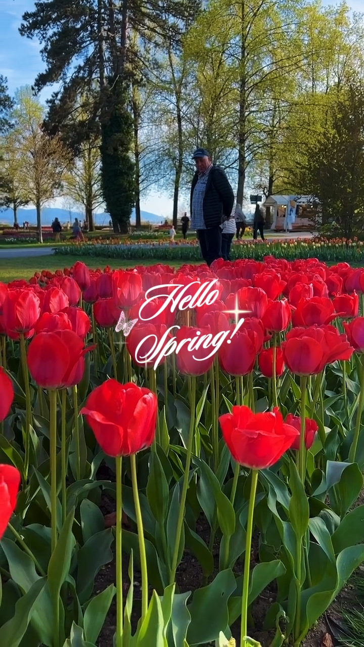 Hola primavera 
