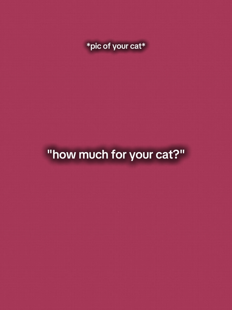 Ihre Katze 