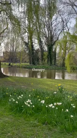 therapy