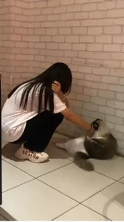 多遠都要在一起｜無濾鏡慢動作