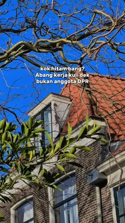 Abang kerja kuli dek