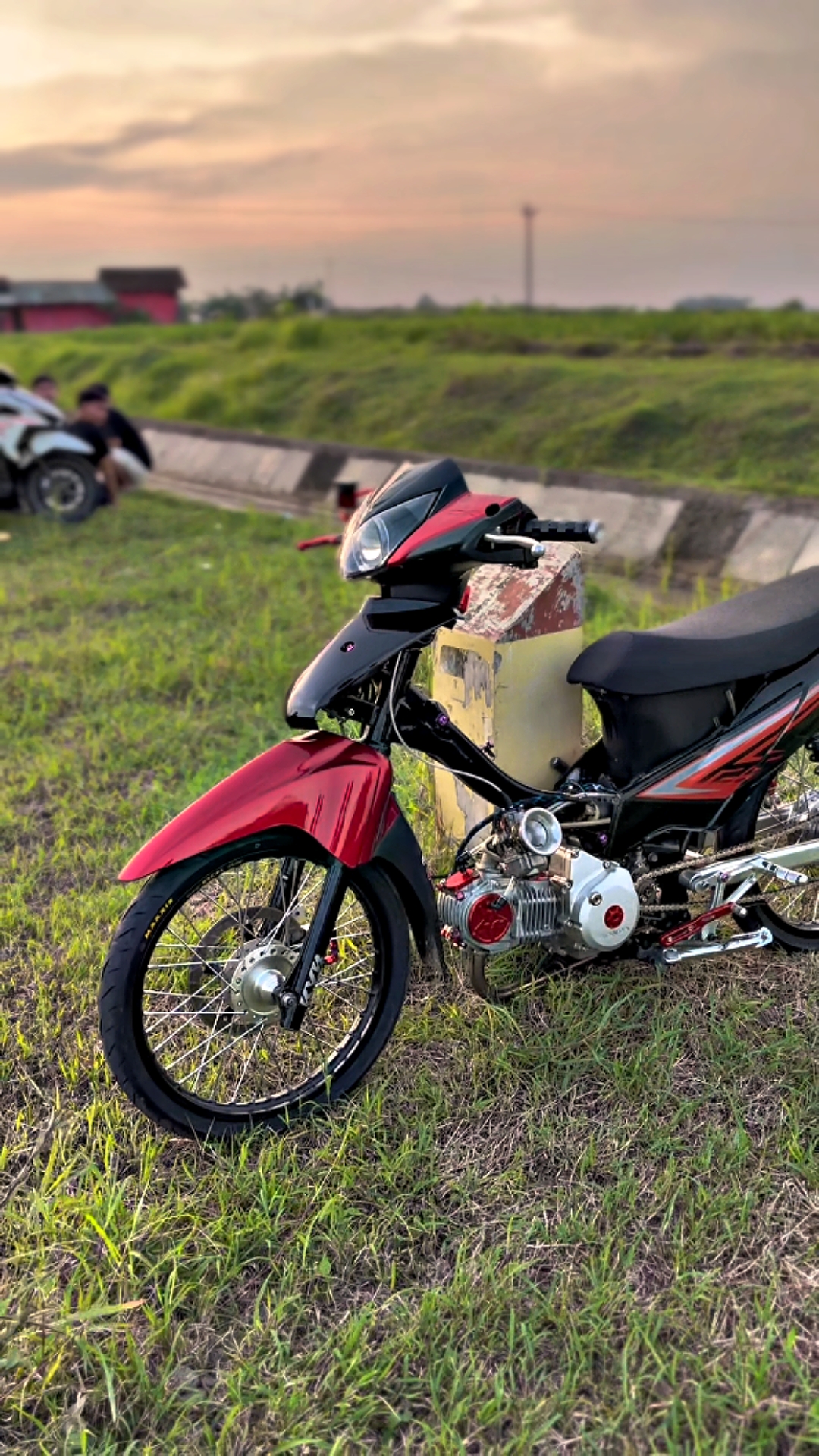 Cover Picture