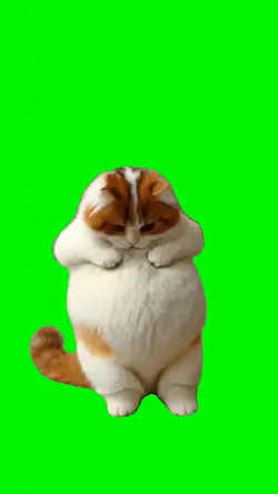 Dancing Cat Meme