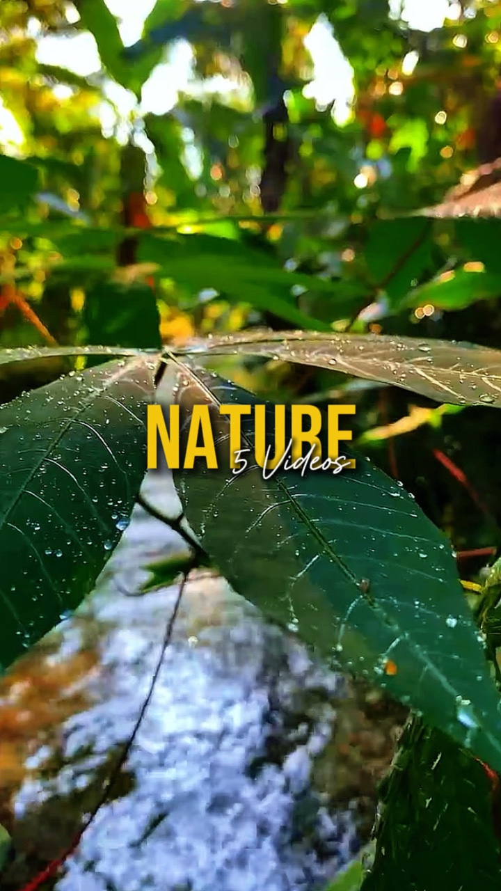 Nature 5 Videos