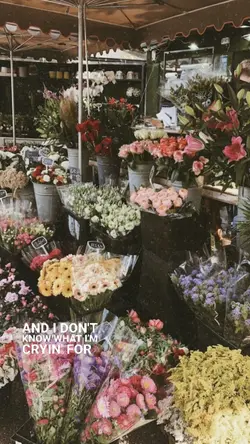 Lyrics