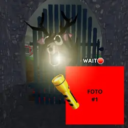 99 noite na floresta