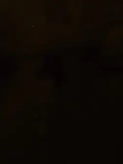 Tổng kết năm [50]