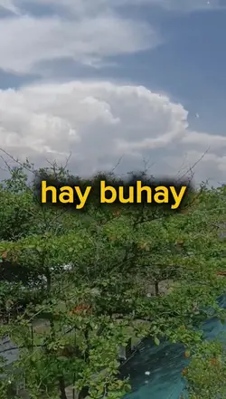 hay buhay 