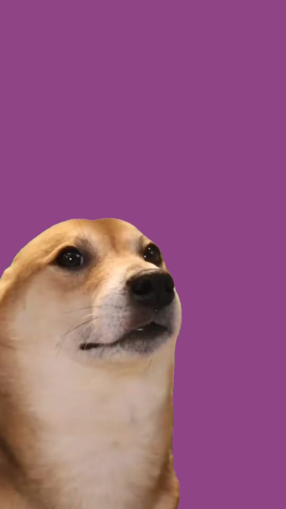 Tanzender Hund Meme