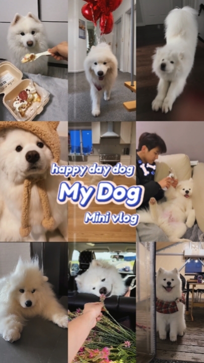 Feliz dia cachorro
