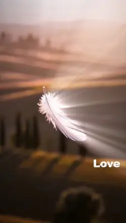 Angel wings 59
