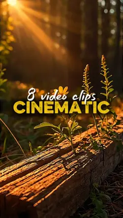 8 video clips