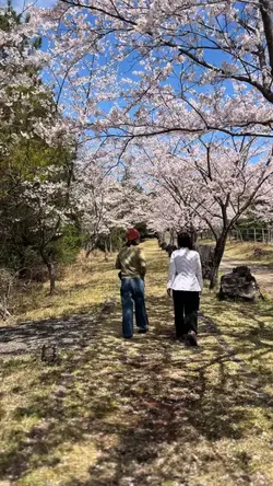 봄산책