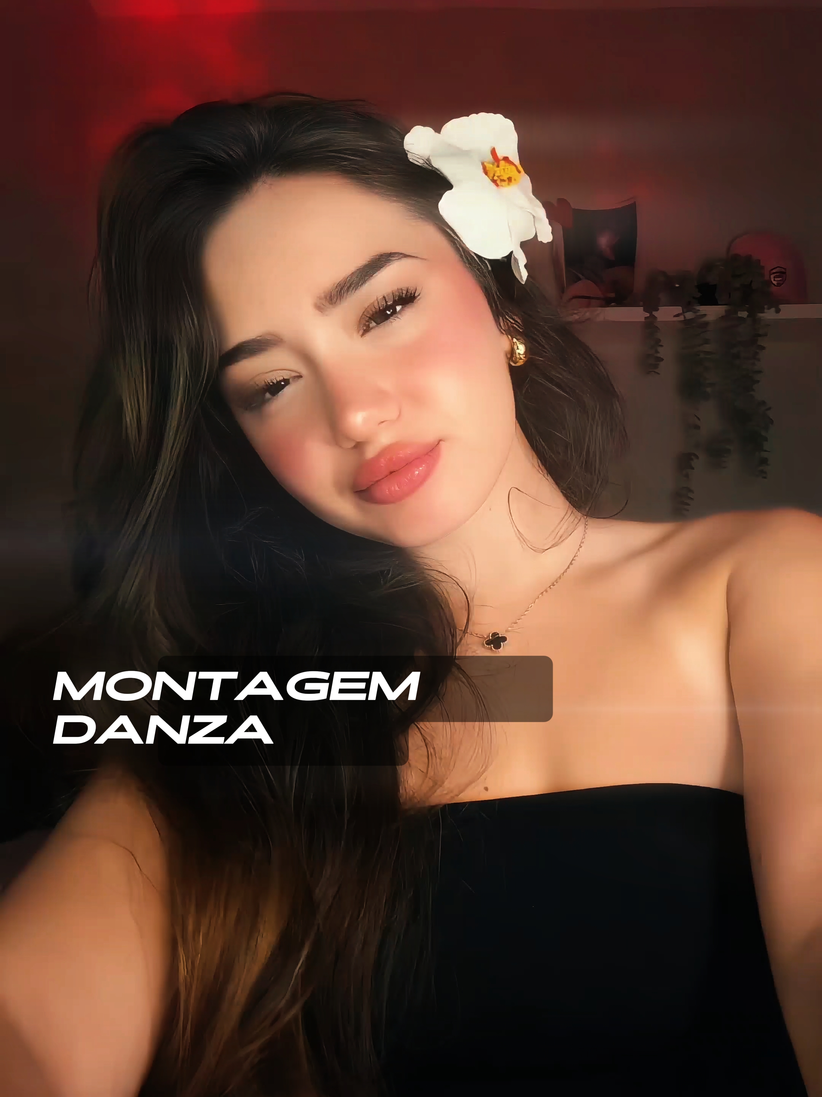montagem danza