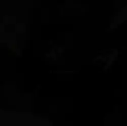 幸せなら手をたたけ