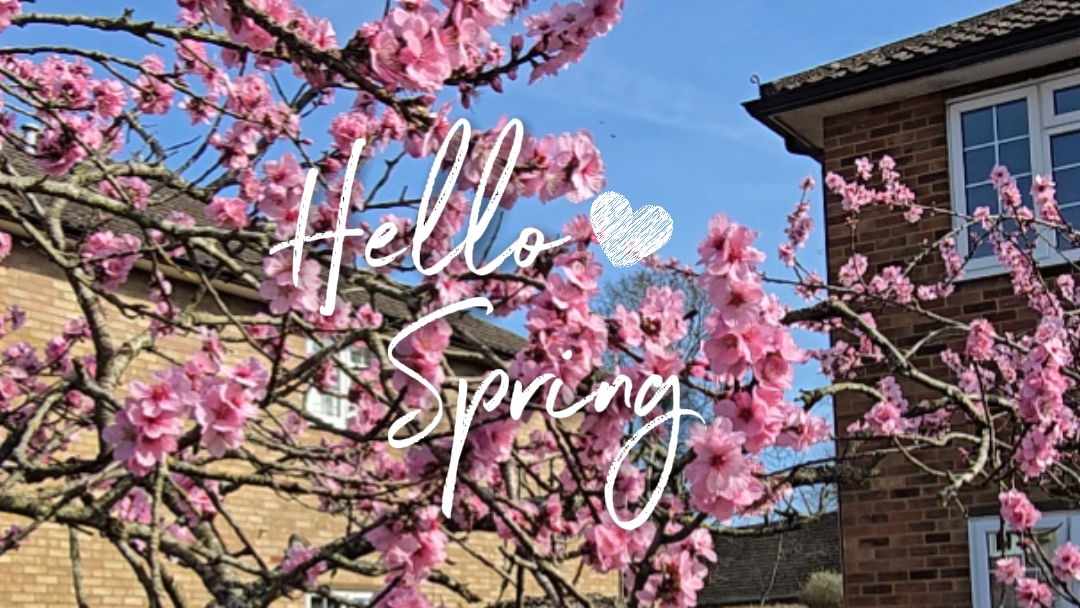 Hello Spring 