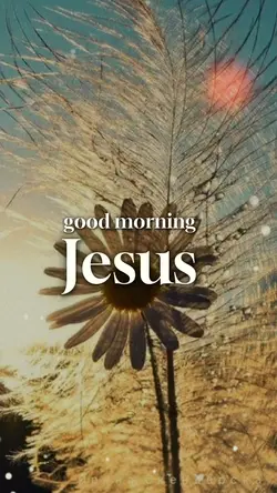 Good morning Jesus