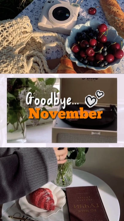 ADIÓS NOVIEMBRE