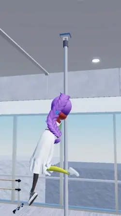 pole dance transisi