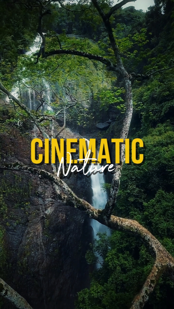 CINEMATIC NATURE
