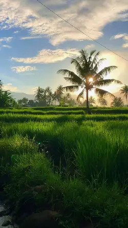 aesthetic view