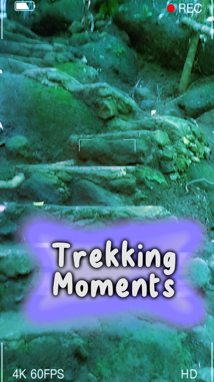 Trekking Adventures 