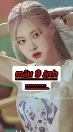 mẫu 9 ảnh 