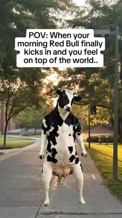 finally kicks 
