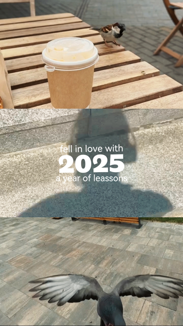 2025recap x opalite