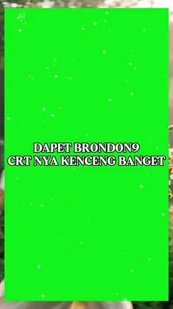 Brondong muda