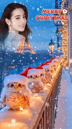 Merry Christmas 2024