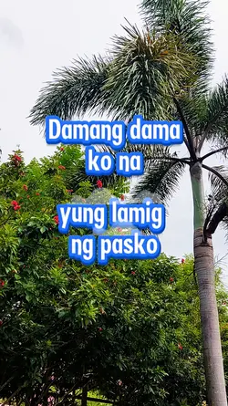 Damang dama ko na