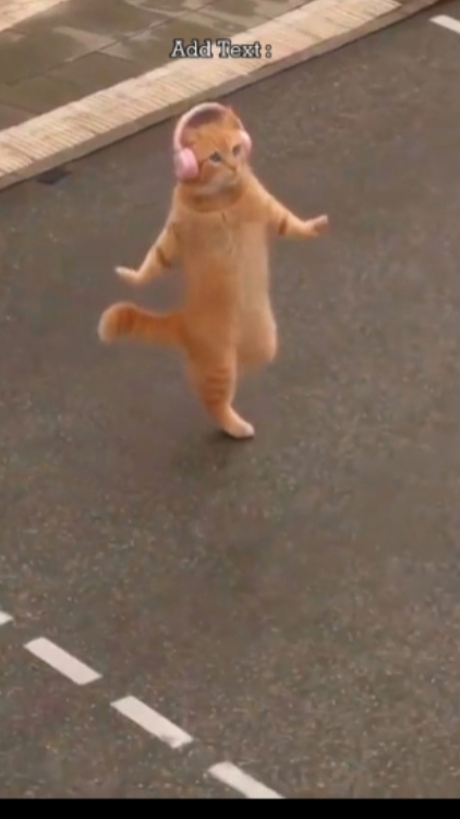 Tambahkan teks... 