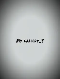 MY GALLERY 