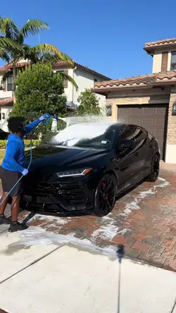 car cleaning