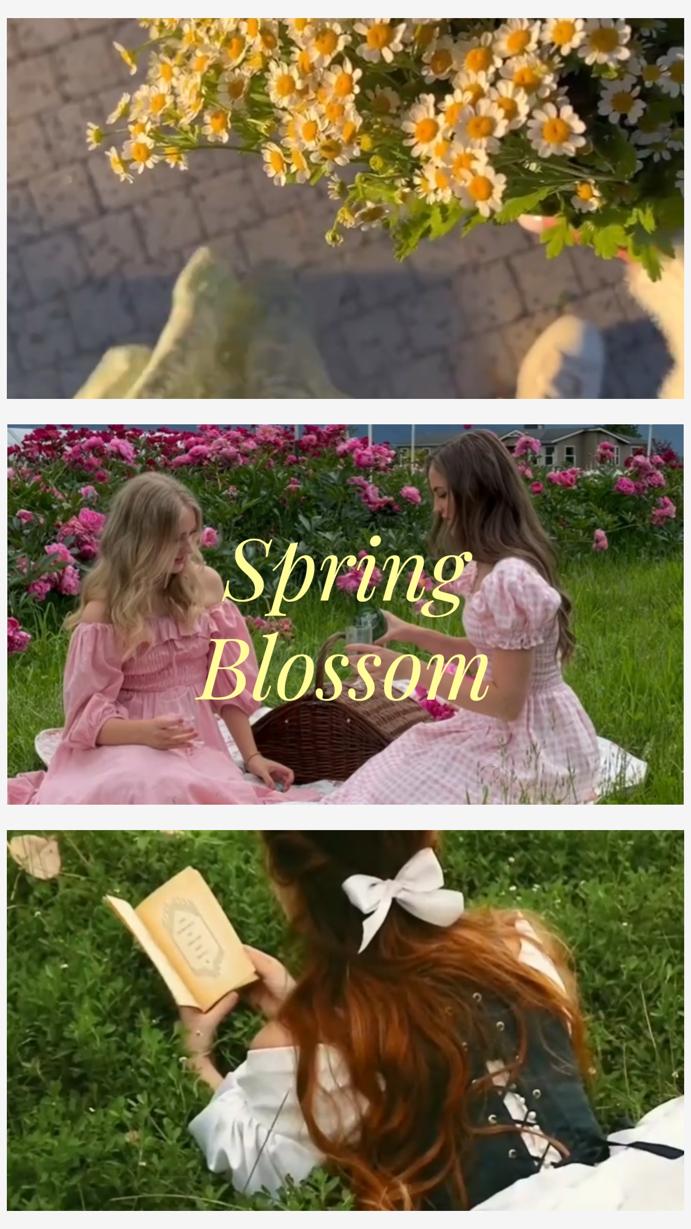 spring blossom