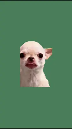 evil smile