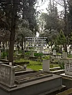 uzaktan seviyorum