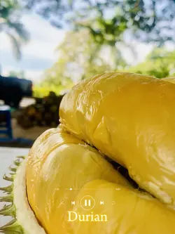 Durian