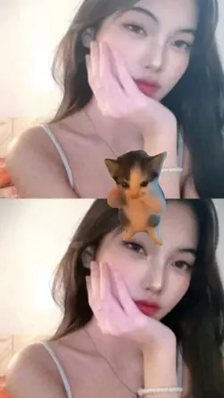 kicau kicau mania jj