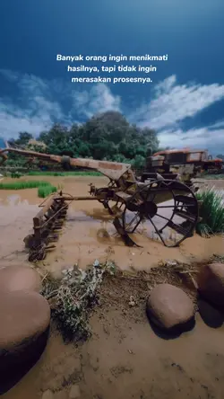 petani sukses 