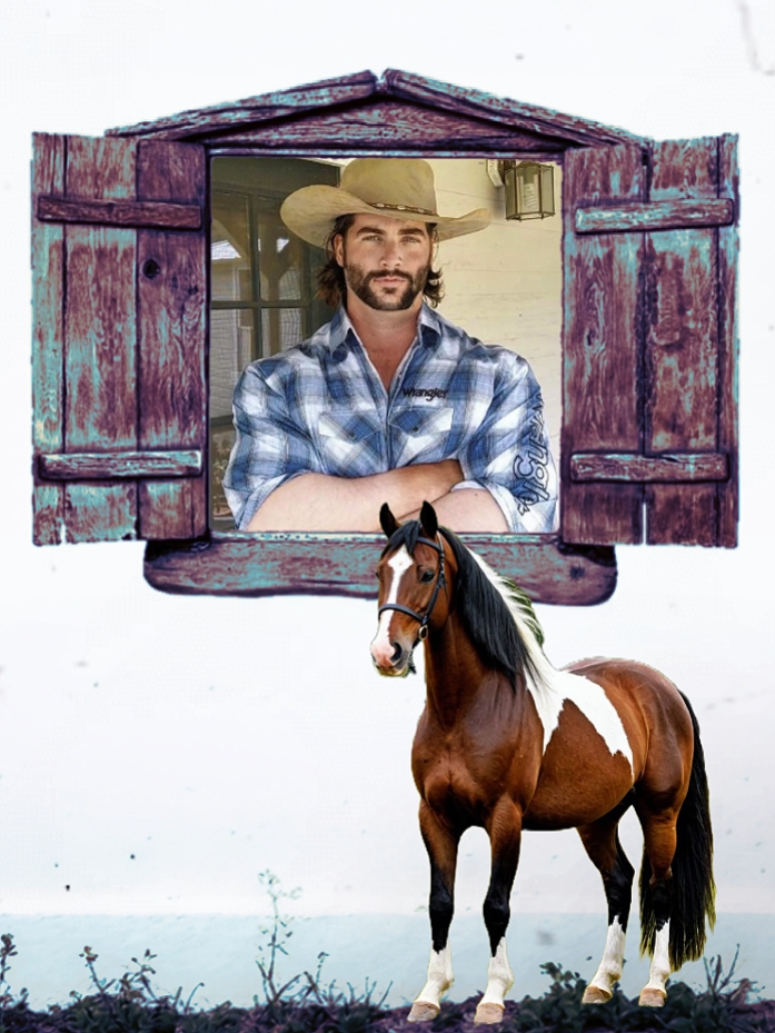 Vaquero vaquera